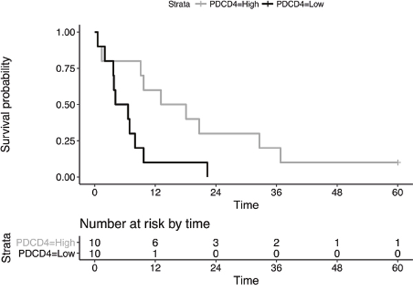 Kaplan-Meier curves of overall survival between PDCD4 expression-based subgroups.