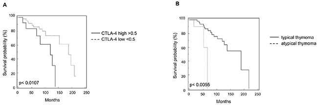 Kaplan-Meier curves of survival according to CTLA-4 expression and histological types.