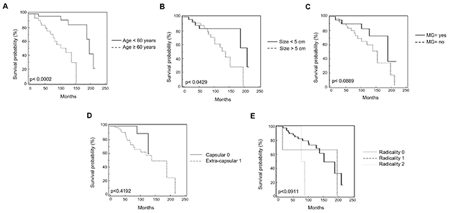 Kaplan-Meier curves of survival according to age, Myasthenia Gravis, tumor size, extra-capsular invasion and radicality.