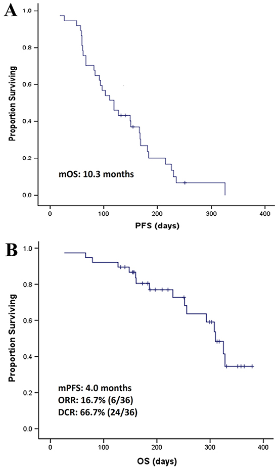 The efficacy evaluation of apatinib in the phase II clinical trial in patients with non-triple-negative metastatic breast cancer.