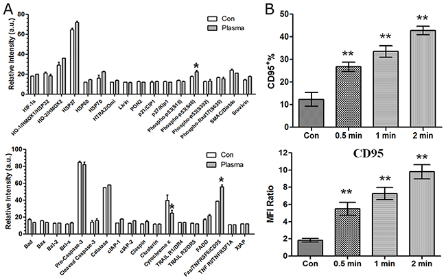 Analysis of apoptosis-related protein array and CD95 expression after plasma treatment.