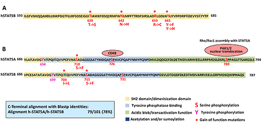 Gain of function mutations in STAT5.