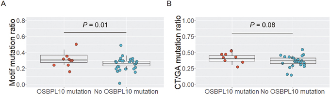Analysis of OSBPL10 mutations and somatic hypermutation target motifs.