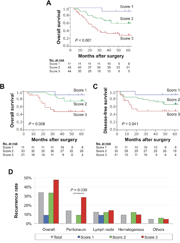 Prognostic impact of the expression panel in the validation cohort.