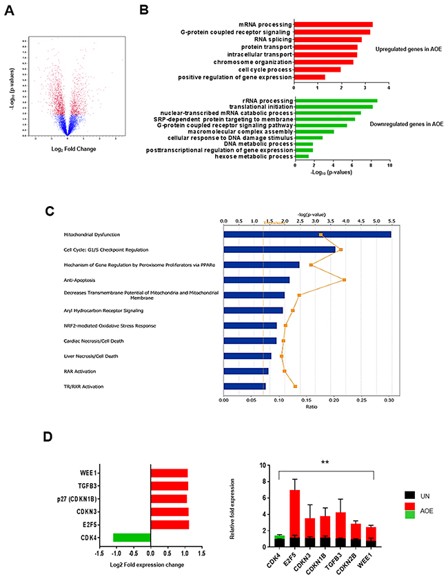 Gene expression analysis of AOE-reprogrammed tumour xenografts.