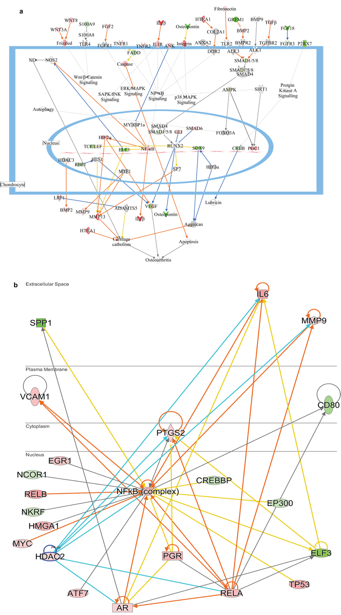 Figure 4: