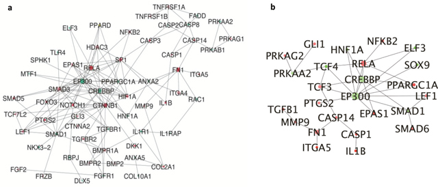 Figure 5: