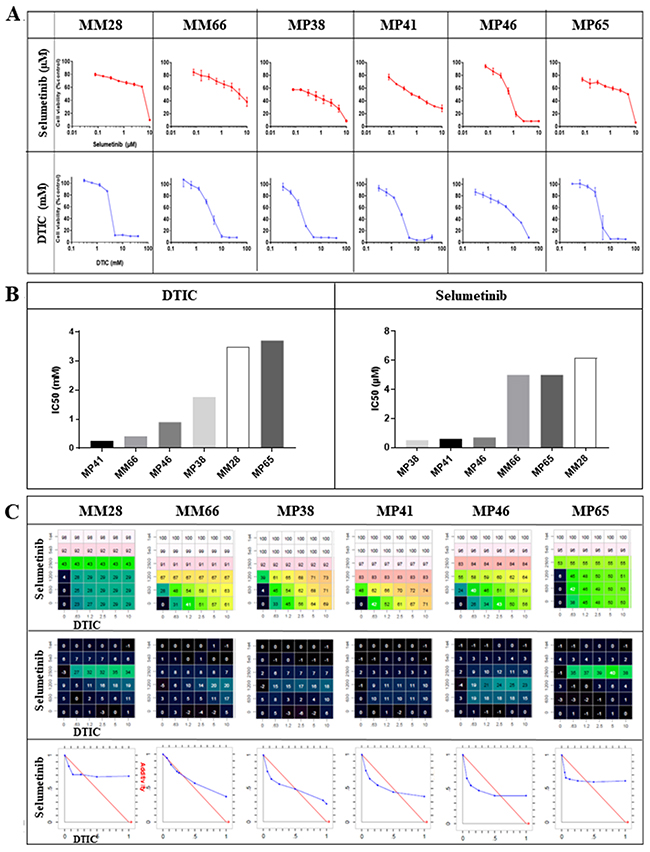 In vitro efficacy of selumetinib and DTIC.