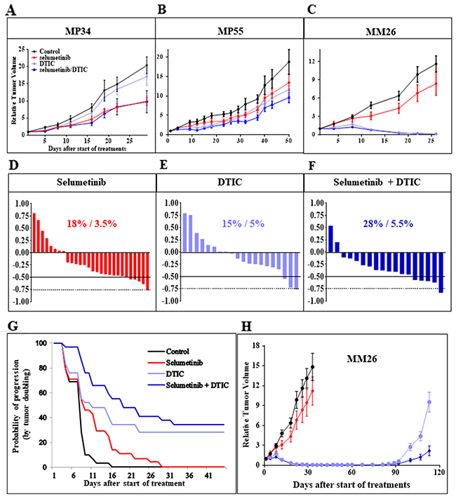 In vivo efficacy of selumetinib &#x002B; DTIC.