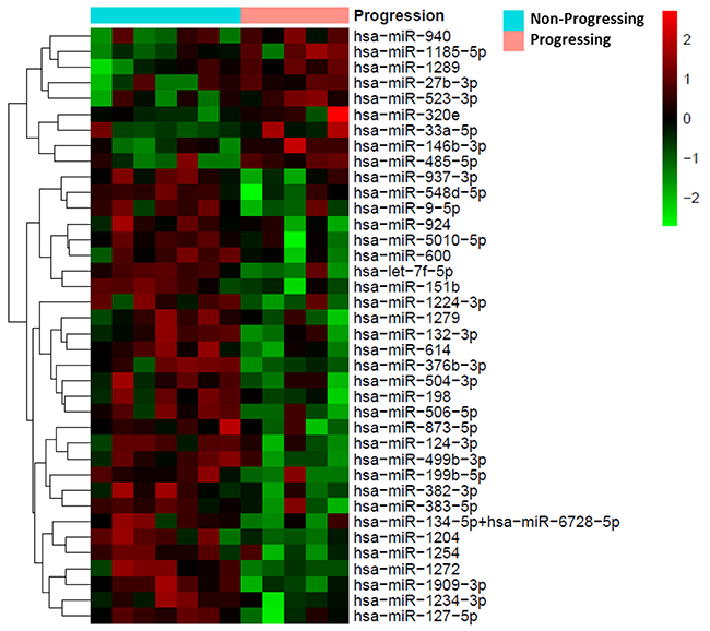 Heat map showing the 38 miRNAs differentially expressed between patients with progressing and non-progressing UTUC (N&#x003D;12).