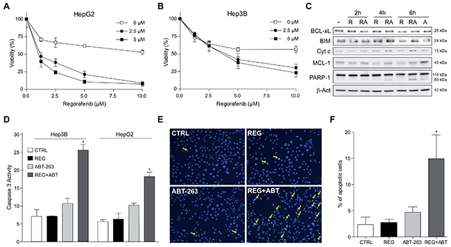 Regorafenib/ABT-263 combination induced apoptotic cell death via a mitochondrial caspase-dependent mechanism.