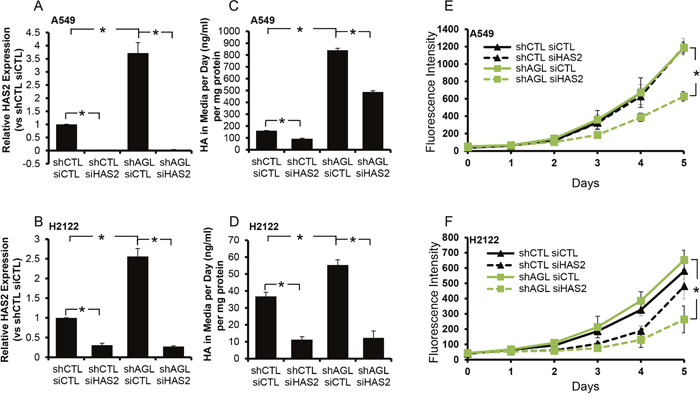 HAS2 loss and growth of NSCLC cells with AGL loss.