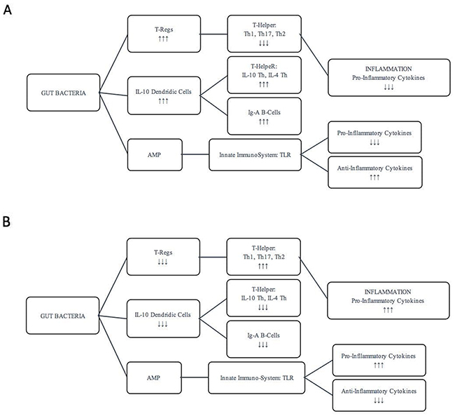 Regulation of intestinal immune system.