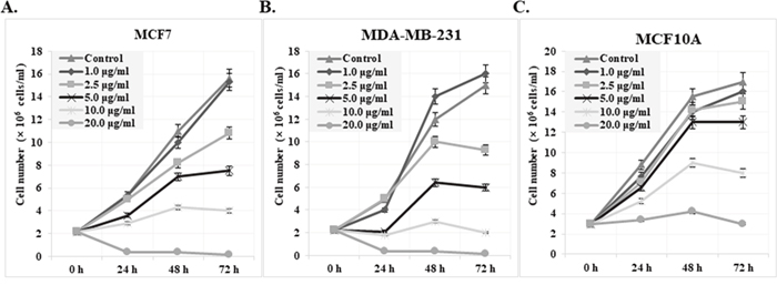 Effect of cis-khellactone on the cell proliferation and viability of MCF7, MDA-MB-231, and MCF10A breast cancer and normal cell lines.