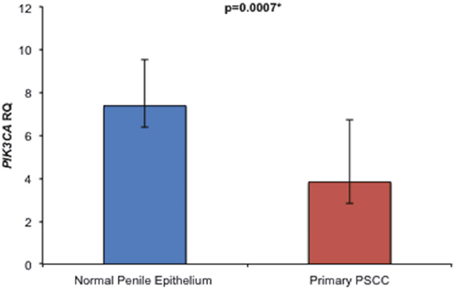 Comparison of overall relative PIK3CA RNA expression levels between NPE and PSCC samples.