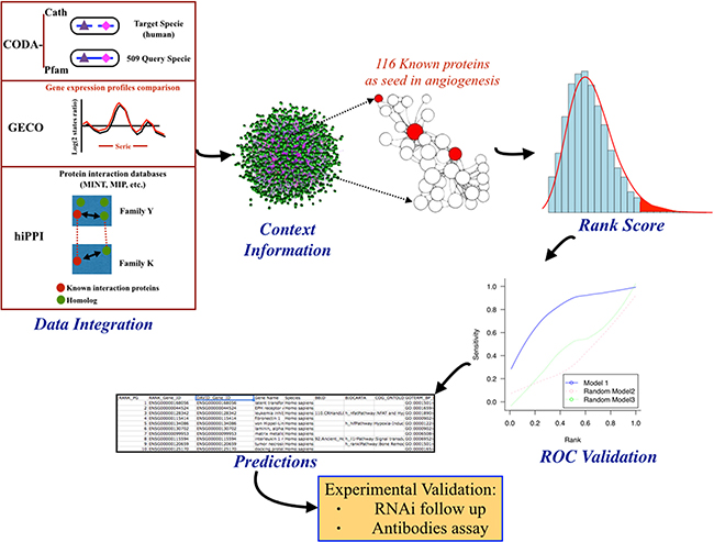 General pipeline followed in this work with description of the steps followed in the initial predictive biocomputational analysis.