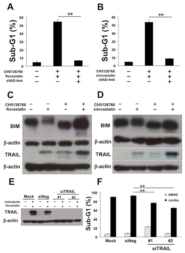 TRAIL is partially required for the apoptosis induced by CH5126766 and fluvastatin in MDA-MB-231 cells.