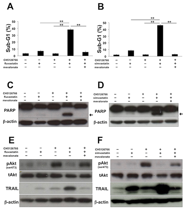 Apoptosis induced by CH5126766 with statins is dependent on inhibition of the mevalonate pathway.