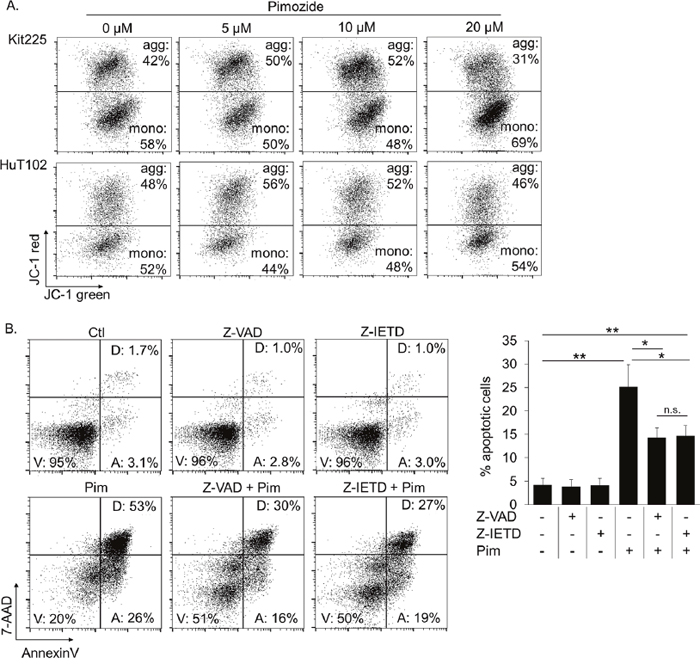 Pimozide induced apoptosis is caspase 8 dependent.