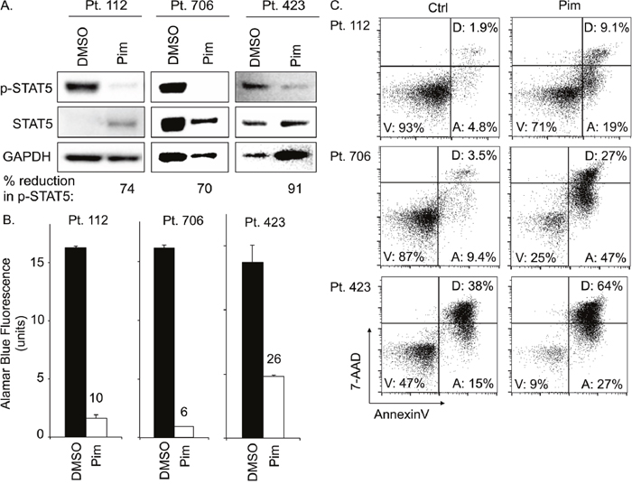 Pimozide inhibits STAT5 activation and induces apoptosis in primary PTCL patient samples.
