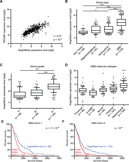 Correlation between AngioMatrix signature expression and EC marker, tumor progression and poor prognosis in human glioma.