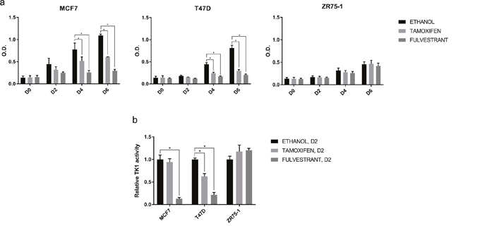 Effect of ET on cell proliferation and TK1 activity in vitro.