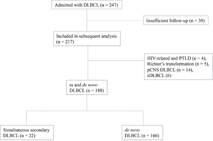 Flowchart depicting the composition of the study group and controls (de novo DLBCL).