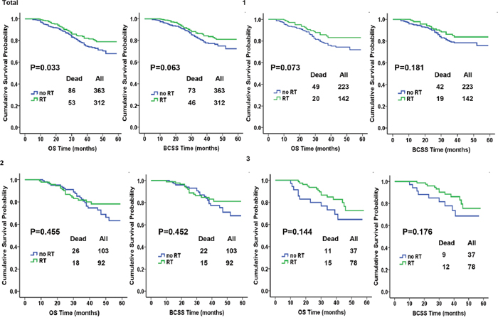 Kaplan-Meier plot and log-rank tests comparing overall survival (OS) and breast cancer-specific survival (BCSS) between RT and no-RT groups according to the number of positive lymph nodes.
