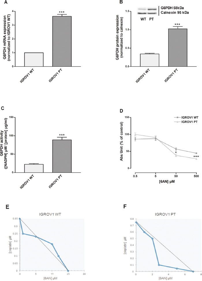 Inhibition of G6PDH, rate-limiting step of PPP, mainly affect cisplatin-resistant cells.