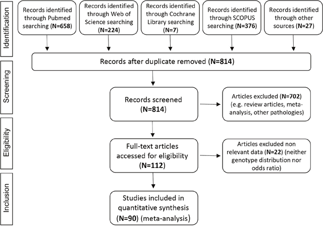 Flow diagram summarizing the search strategy and the study selection process.