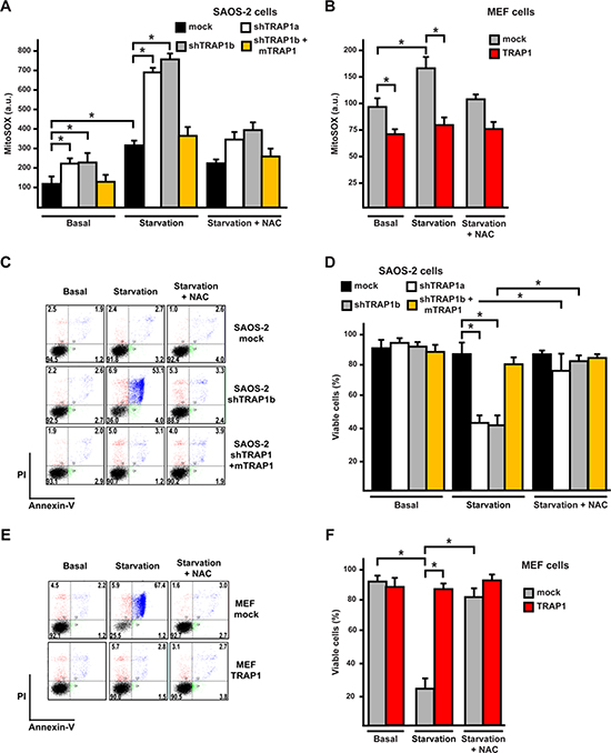 TRAP1 expression protects cells from oxidative stress and death elicited by serum and glucose depletion.