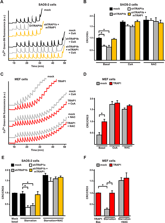 TRAP1 expression protects cells from PTP opening.