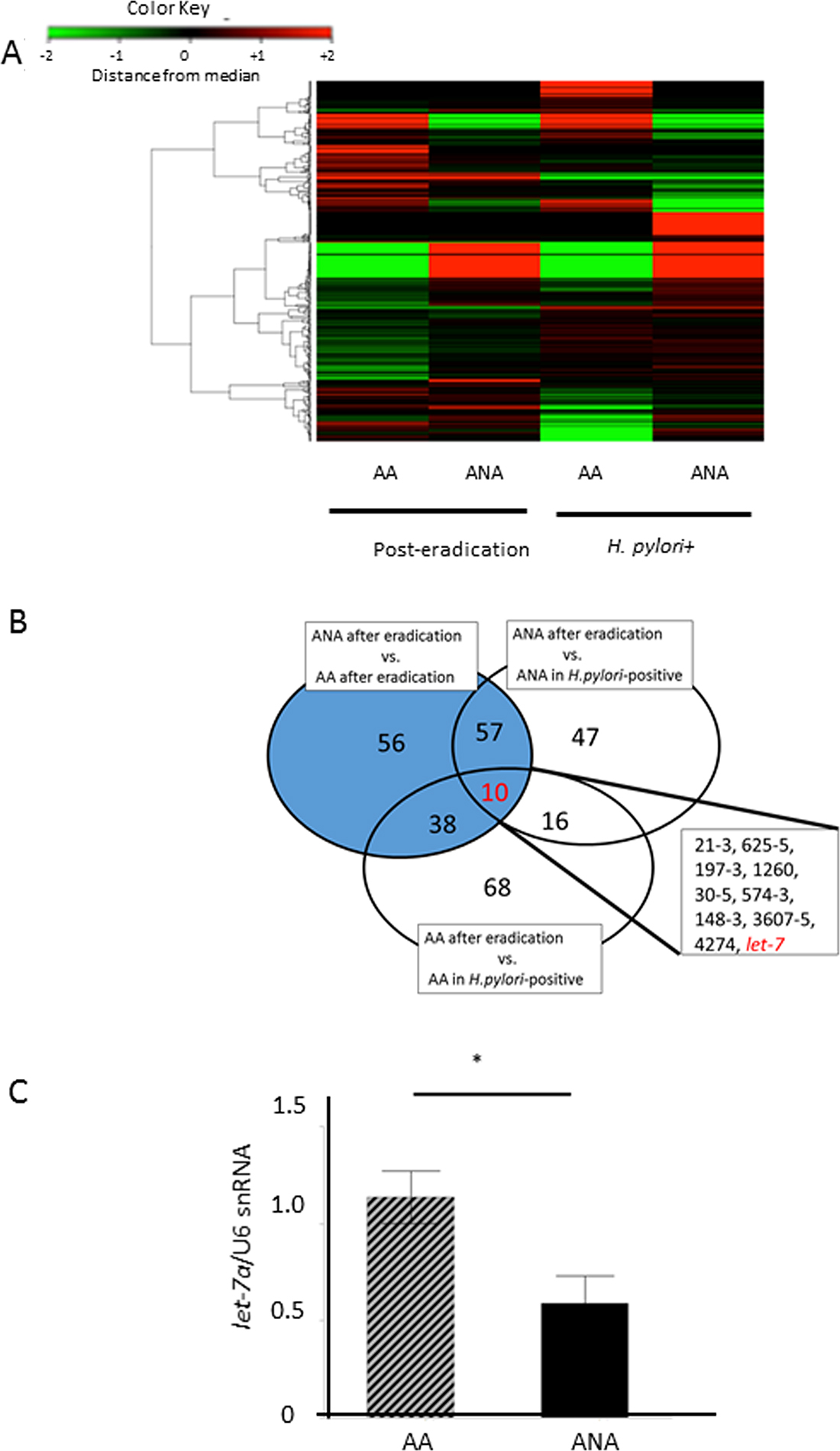 Identification of candidate microRNAs that cause barrier dysfunction.