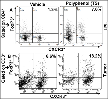 TS differentially induces the expression CXCR3+ Tregs in periphery and CRC Tumors IL-10 knockout mice on a C57BL/6 background were given 100 ml of vehicle or TS (100 mg/kg body weight) every 3 days by oral gavage from 8 weeks after the onset of symptomatic colitis through week 16.
