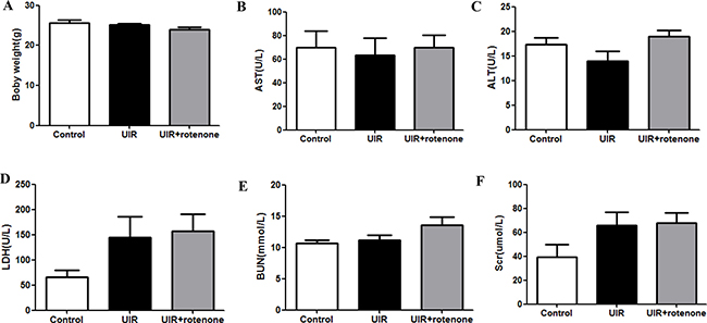 Safety evaluation of rotenone treatment in mice.