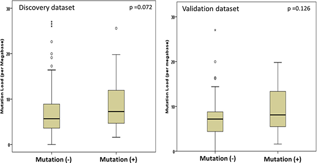 Comparison of mutation load in patients with mutated and wild type ATM/RB1 genes.