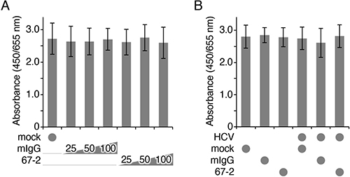 The mAb 67-2 does not affect cell viability of Huh7.5.1 3D culture.