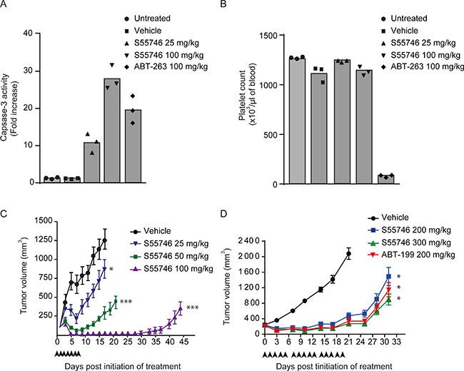 S55746 inhibits xenograft growth in RS4;11 and Toledo models. (A