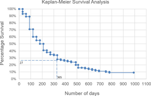 Overall survival of patients.