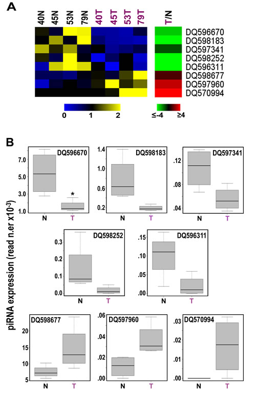 Identification of 8 piRNAs differently expressed in cancer vs normal breast tissues.