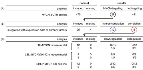 Overview of results from different analyses.