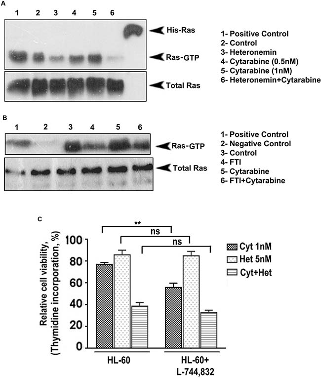 Heteronemin pre-treatment suppresses activation of Ras by inhibiting farnesyl transferase enzyme.