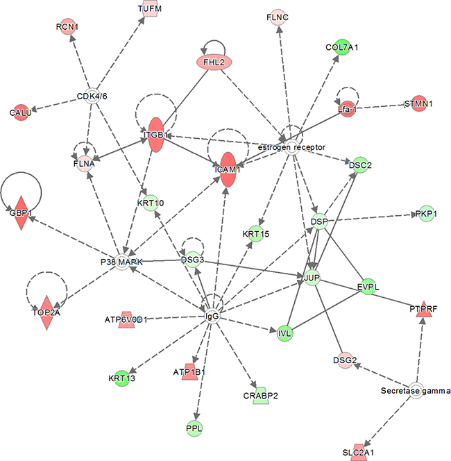 The second network with identical score as shown in previous network (Figure 3).