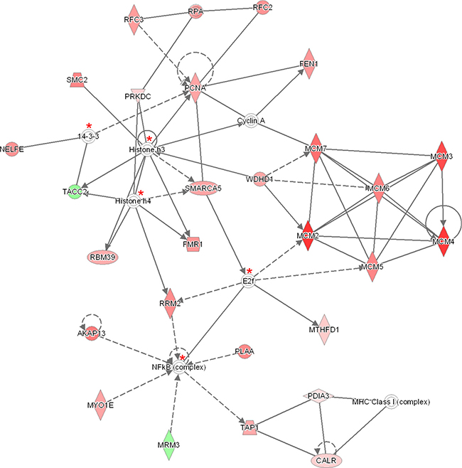 The 140 significantly proteins (up- and down-regulated) that were found by Benjamini-Hochberg analysis for late stage cervical cancer were applied to the IPA analysis tool.