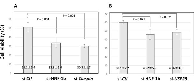 Viability of TOV21G cells following HNF-1&#x03B2;, Claspin or USP28 siRNA transfection.