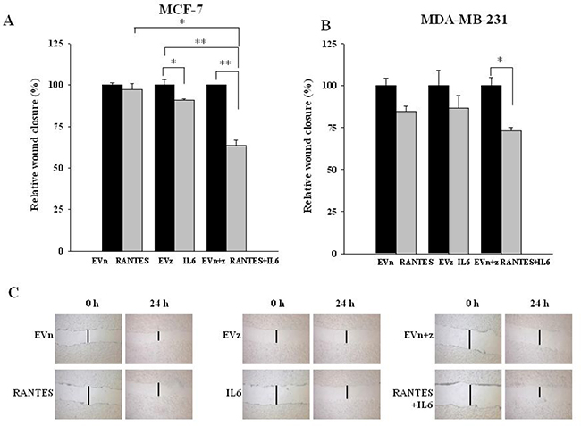 Effects of the overexpression of RANTES and/or IL-6 on wound healing in MCF-7 and MDA-MB-231 cells.