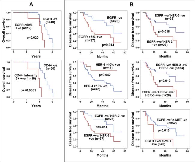 The impact of various biomarker expressions on the overall survival and disease free survival in patients with stages III and IV ovarian cancer.