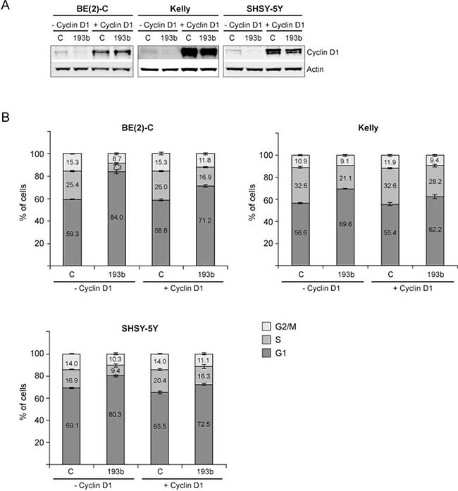 Cyclin D1 overexpression rescues neuroblastoma cells from miR-193b-induced G1 cell cycle arrest.