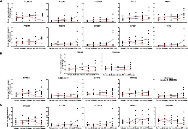 Differences in temporal gene expression of potential molecular markers between clinical responder and non-responder patients.
