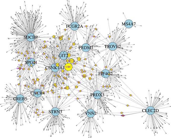 Theoretical network of genetic interactions associated to DC vaccine-induced immune response.